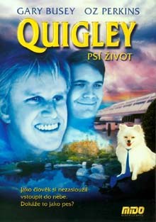 Quigley Psí život DVD film