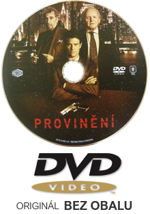 Provinění DVD film