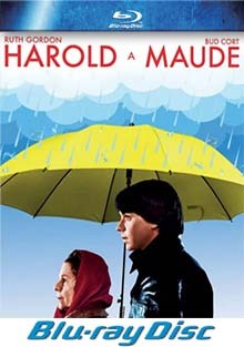 Harold a Maude BD