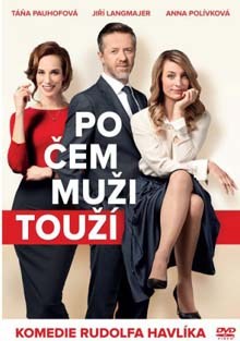 Po čem muži touží DVD