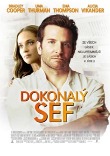 Dokonalý šéf DVD